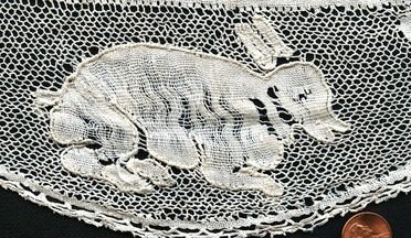 An Sher rabbitclose587